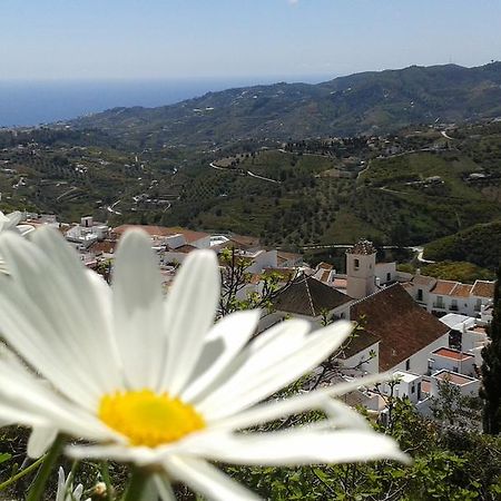 Casa Ana, Fantasticas Vistas A Frigiliana, El Mar Y La Montana Villa Buitenkant foto