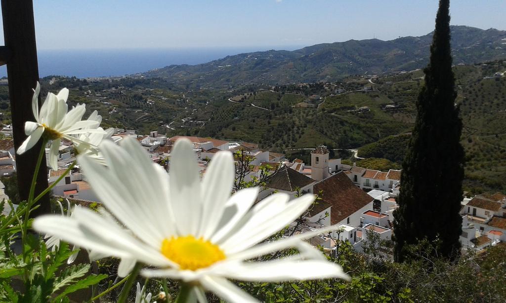 Casa Ana, Fantasticas Vistas A Frigiliana, El Mar Y La Montana Villa Buitenkant foto